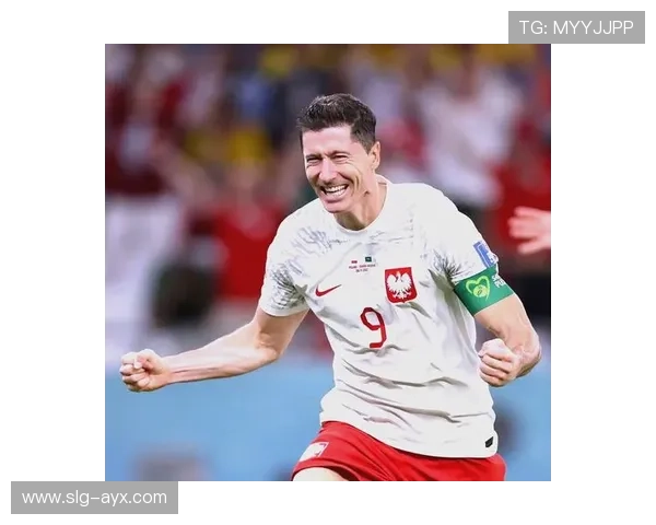 莱万再写波兰队史射手新高